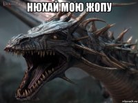 нюхай мою жопу 