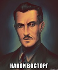  какой восторг