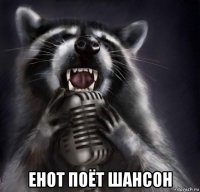  енот поёт шансон