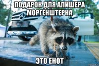 подарок для алишера моргенштерна это енот