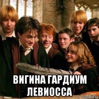  вигина гардиум левиосса