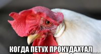  когда петух прокудахтал