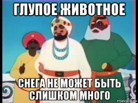 глупое животное снега не может быть слишком много
