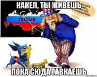 какел, ты живешь пока сюда гавкаешь