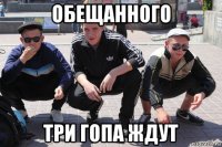 обещанного три гопа ждут