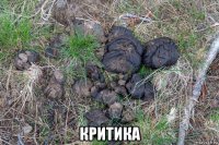  критика