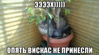 ээээх))))) опять вискас не принесли
