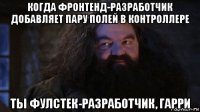 когда фронтенд-разработчик добавляет пару полей в контроллере ты фулстек-разработчик, гарри