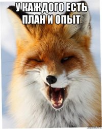 у каждого есть план и опыт 