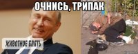 очнись, трипак 