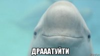  драаатуйти