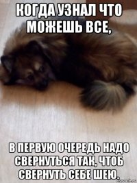 когда узнал что можешь все, в первую очередь надо свернуться так, чтоб свернуть себе шею.