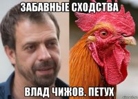 забавные сходства влад чижов. петух
