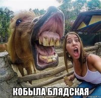  кобыла блядская