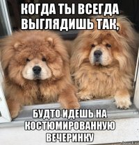 когда ты всегда выглядишь так, будто идешь на костюмированную вечеринку