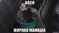 кося жирная мамаша