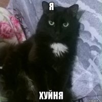 я хуйня