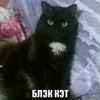  блэк кэт