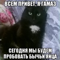 всем привет, я гамаз сегодня мы будем пробовать бычьи яйца
