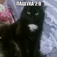 пашуха 2.0 