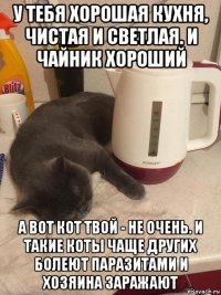 у тебя хорошая кухня, чистая и светлая. и чайник хороший а вот кот твой - не очень. и такие коты чаще других болеют паразитами и хозяина заражают