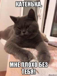 катенька, мне плохо без тебя!