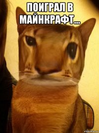 поиграл в майнкрафт... 