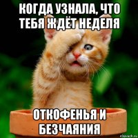 когда узнала, что тебя ждёт неделя откофенья и безчаяния