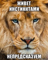 живет инстинктами непредсказуем
