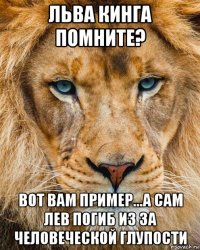 льва кинга помните? вот вам пример...а сам лев погиб из за человеческой глупости