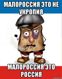 малороссия это не укропия малороссия это россия