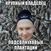 крупный владелец подсолнуховых плантаций