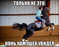 только не это. конь камушек увидел