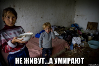  не живут...а умирают