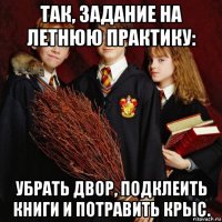 так, задание на летнюю практику: убрать двор, подклеить книги и потравить крыс.