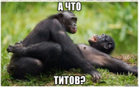а что титов?