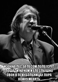  изокна лес за лесом поле...срут лошади на нем и еле слышно звон в психбольницах пора койку менять