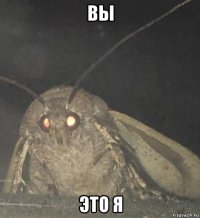 вы это я