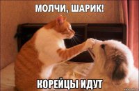  корейцы идут