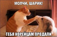  тебя корейцам продали