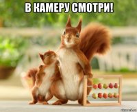 в камеру смотри! 