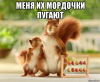 меня их мордочки пугают 