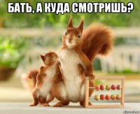 бать, а куда смотришь? 
