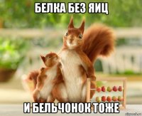 белка без яиц и бельчонок тоже