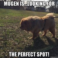 mugen is…looking for the perfect spot!