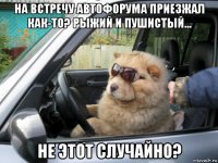 на встречу автофорума приезжал как-то? рыжий и пушистый... не этот случайно?