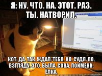 я: ну. что. на. этот. раз. ты. натворил. кот: да. так. ждал. тебя. но. судя. по. взгляду. это. была. сова. поимени. ёлка.