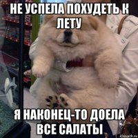 не успела похудеть к лету я наконец-то доела все салаты