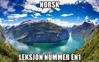 norsk leksjon nummer én1