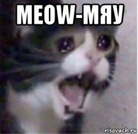meow-мяу 
